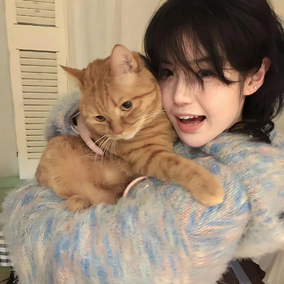 神探特伦特第二季